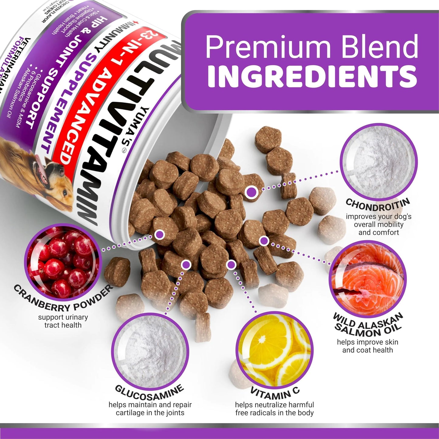 Dog Multivitamin Chewable with Glucosamine - 170 Treats
