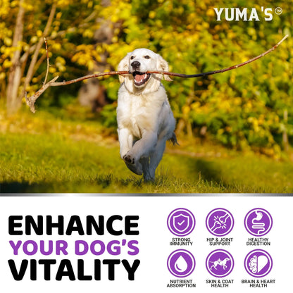 Dog Multivitamin Chewable with Glucosamine - 170 Treats